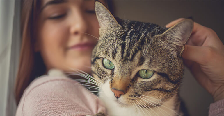 Vermissen Katzen ihre Besitzer? Wie du deiner Katze hilfst