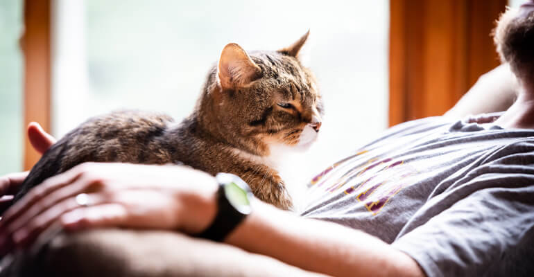 Vertraut meine Katze mir? An diesen 9 Zeichen erkennst du es!