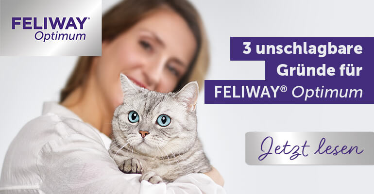 3 unschlagbare Gründe für FELIWAY Optimum