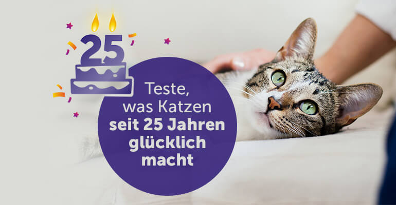 Entdecke, was Katzen seit 25 Jahren glücklich macht