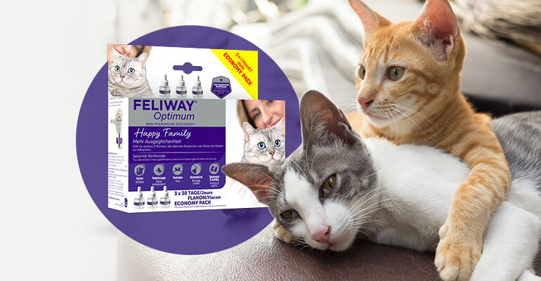 Mit dem FELIWAY Optimum Vorteilspack 3 x länger glücklich sein und sparen