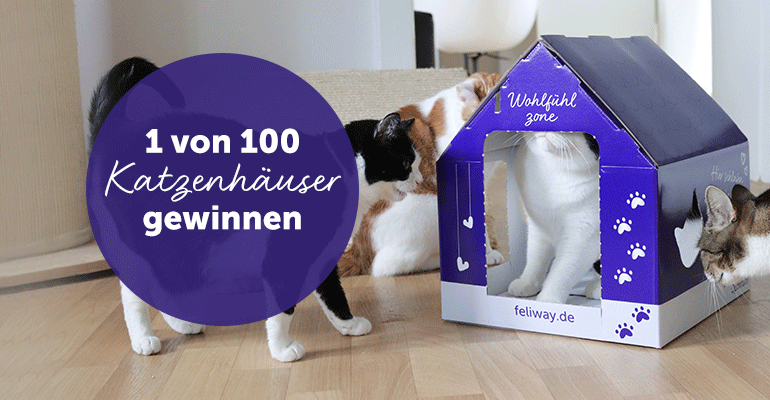 1 von 100 süßen FELIWAY Katzenkartonhäusern ergattern