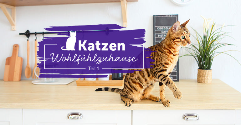 Katzengerechte Wohnung | Einrichtungstipps für glückliche Katzen