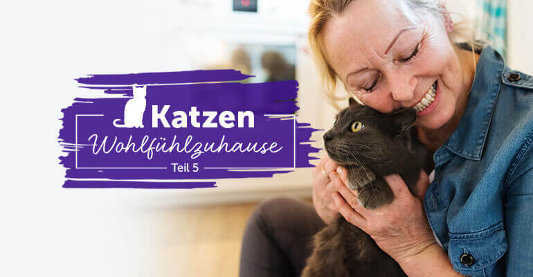 Altersgerechte Einrichtung für die alte Katze | FELIWAY Wohnraumtipps