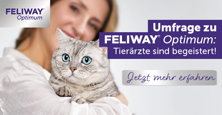 Umfrage zu FELIWAY Optimum: Tierärzte sind begeistert!
