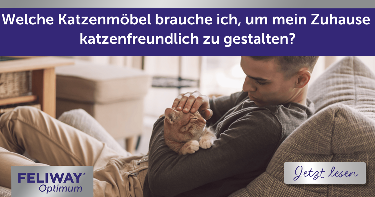 Katzenmöbel, um mein Zuhause katzenfreundlich zu machen?