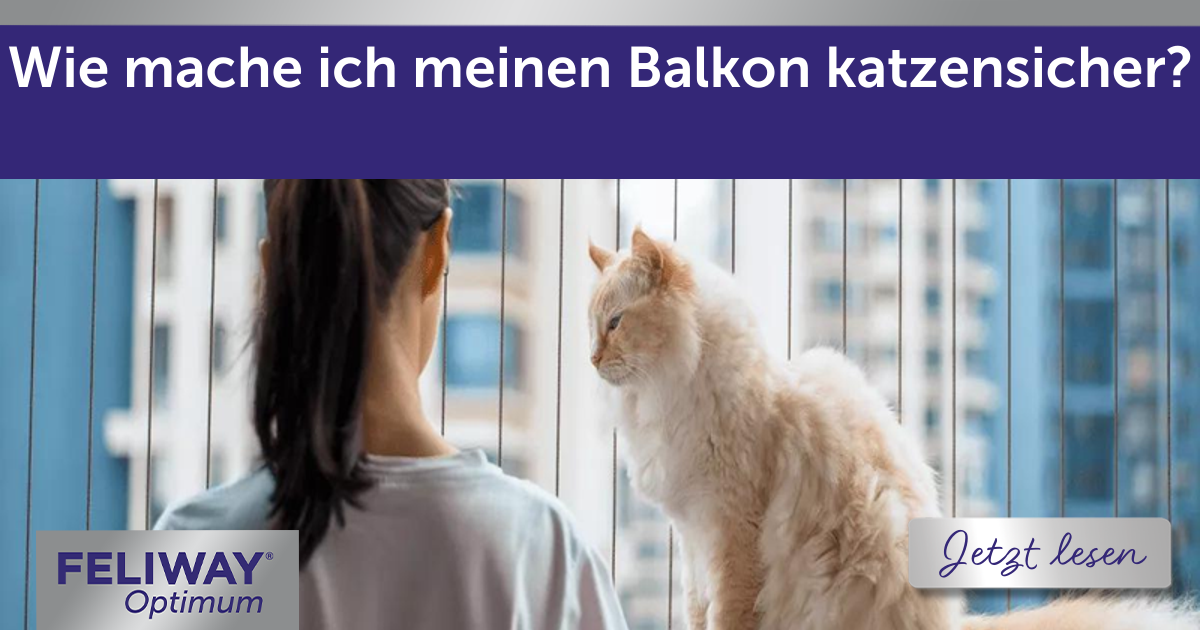 Wie mache ich meinen Balkon katzensicher?