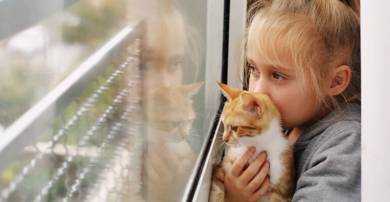 Wohnungskatze möchte nach draußen! Das kannst du machen