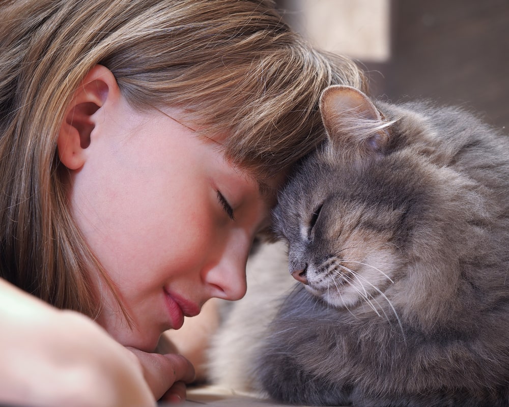Deine Katze blinzelt und zwinkert dich an? Das möchte sie dir sagen