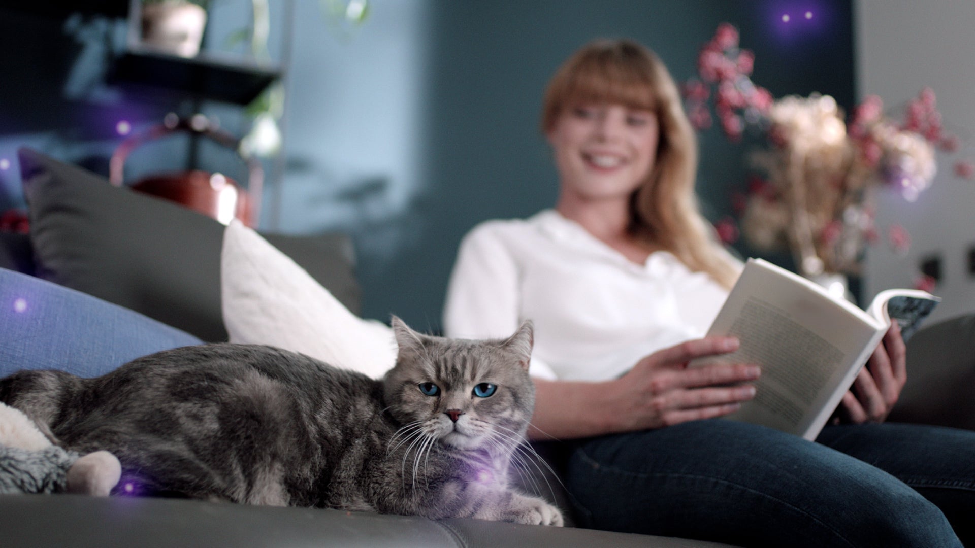 Unsere Kunden bestätigen: Es lohnt sich FELIWAY zu testen!