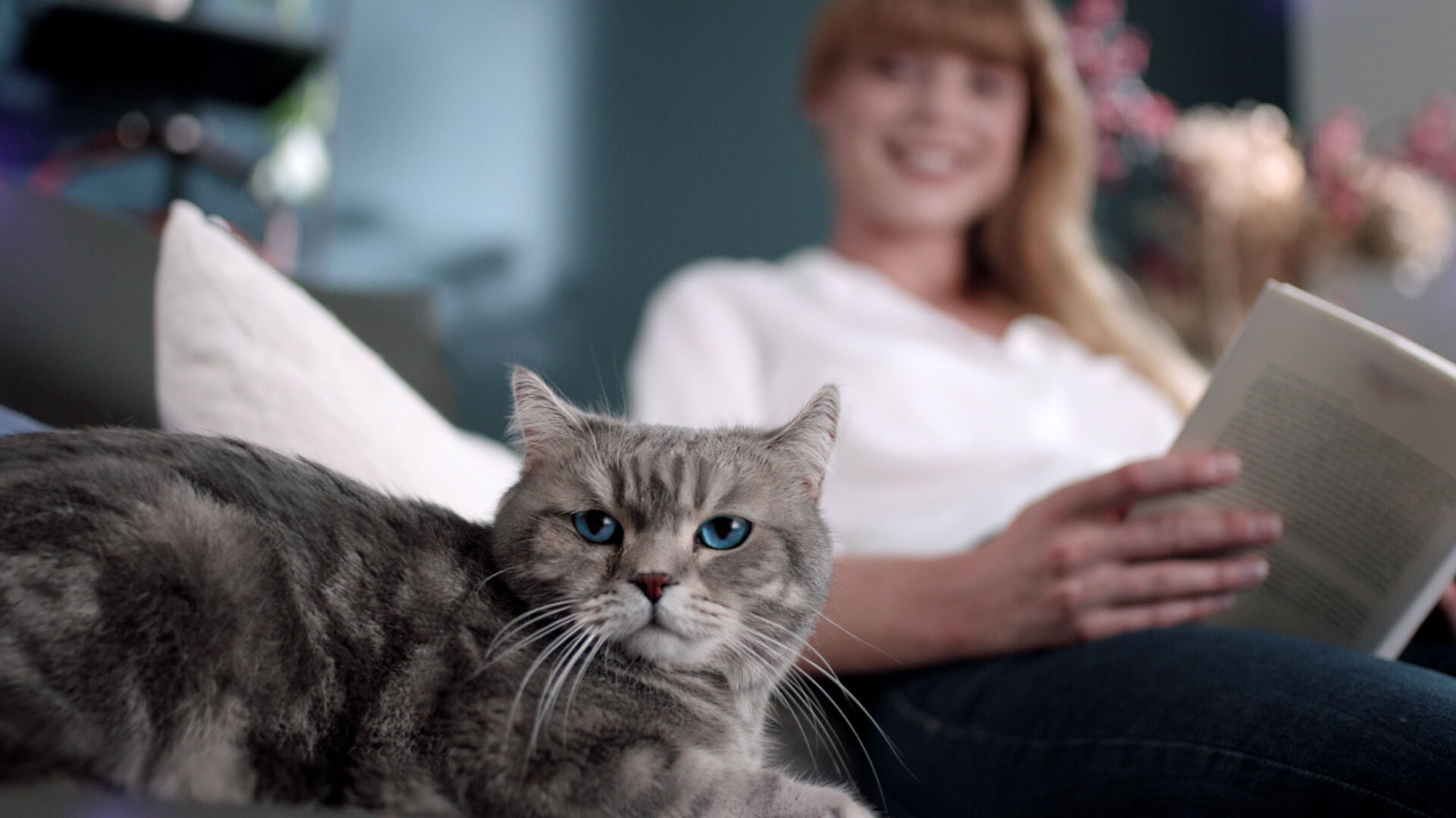 Konflikte UND Markierverhalten? Dafür gibt es jetzt FELIWAY Optimum