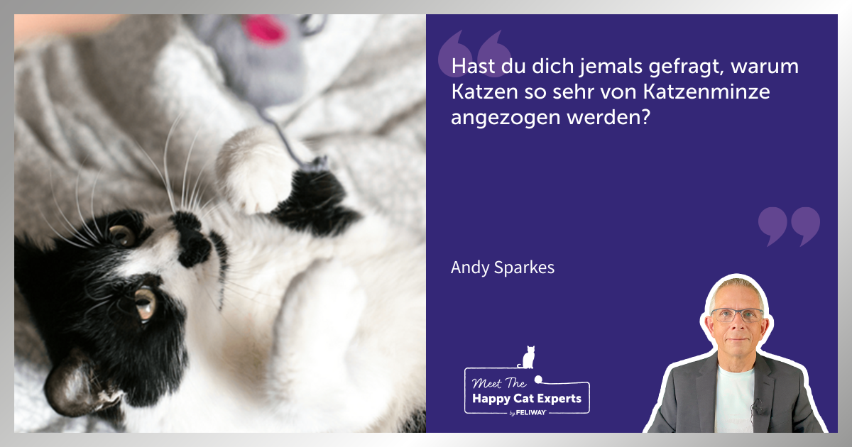 Katzen und Katzenminze... warum die Anziehungskraft?