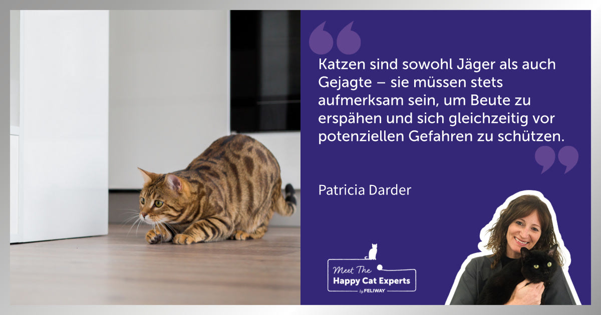 Die Katze als Jäger und Beute: Eine Katzenexpertin erklärt