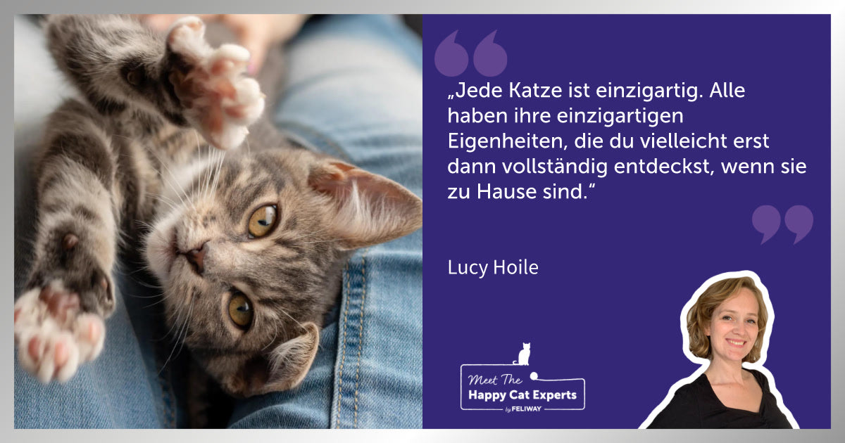 Die richtige Katze fr dich finden: Eine Katzenexpertin erklrt! | FELIWAY Die richtige Katze fr dich finden: Eine Katzenexpertin erklrt! | FELIWAY