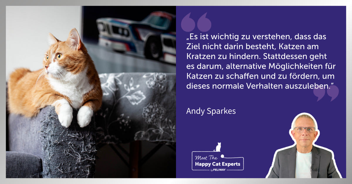Warum kratzen Katzen? Ein Experte erklärt!