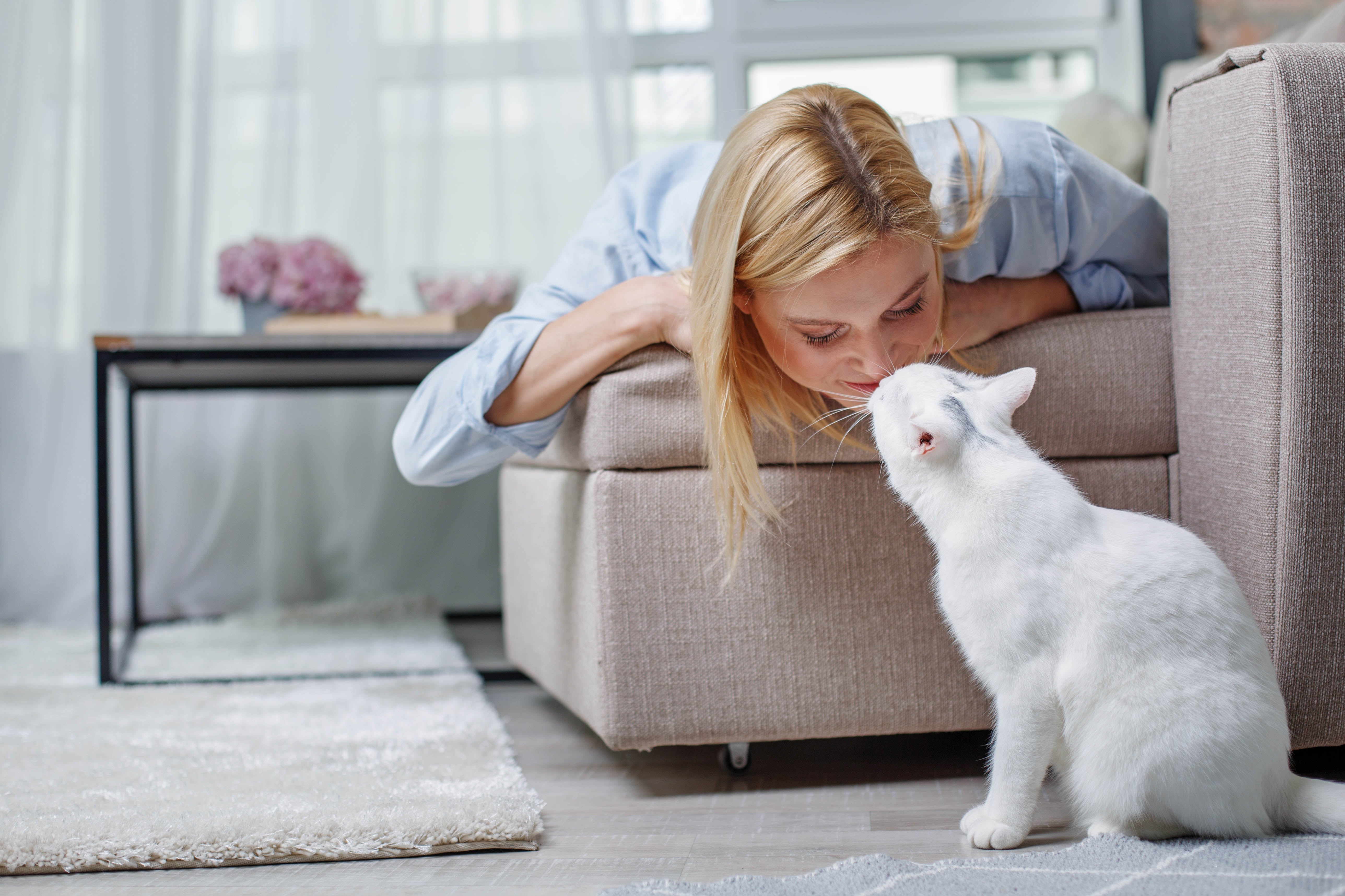 So baust du Vertrauen zu deiner neuen Katze auf!