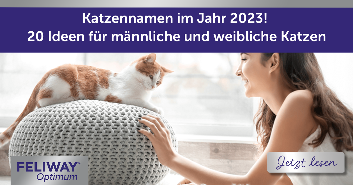 Katzennamen im Jahr 2024! 20 Ideen für männliche und weibliche Katzen