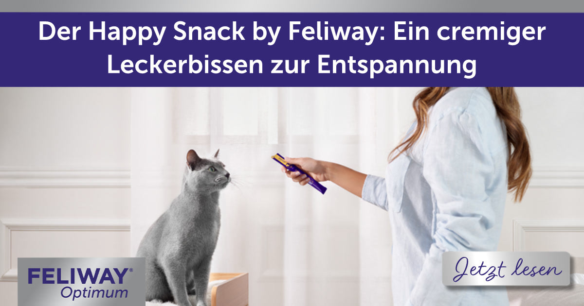 Der Happy Snack by Feliway: Ein cremiger Leckerbissen zur Entspannung