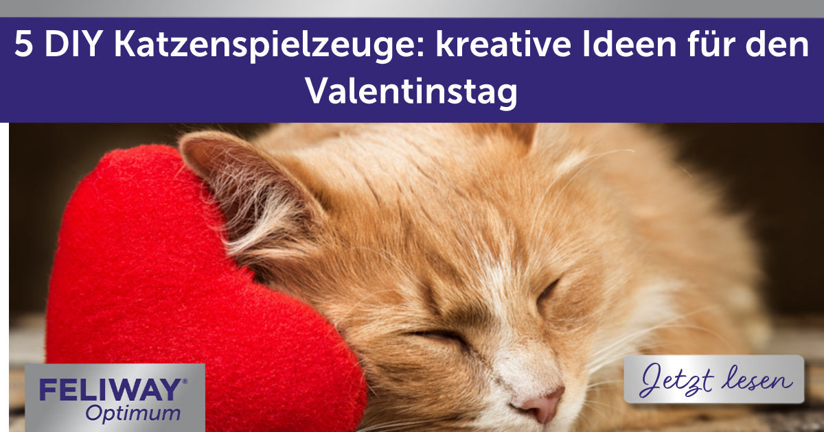 5 DIY Katzenspielzeuge: kreative Ideen für den Valentinstag