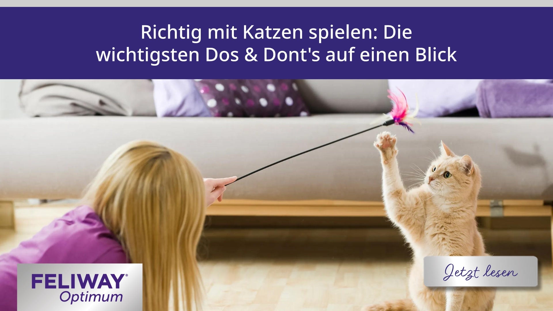 Richtig mit Katzen spielen: Die wichtigsten Dos & Dont's auf einen Blick | FELIWAY Richtig mit Katzen spielen: Die wichtigsten Dos & Dont's auf einen Blick | FELIWAY