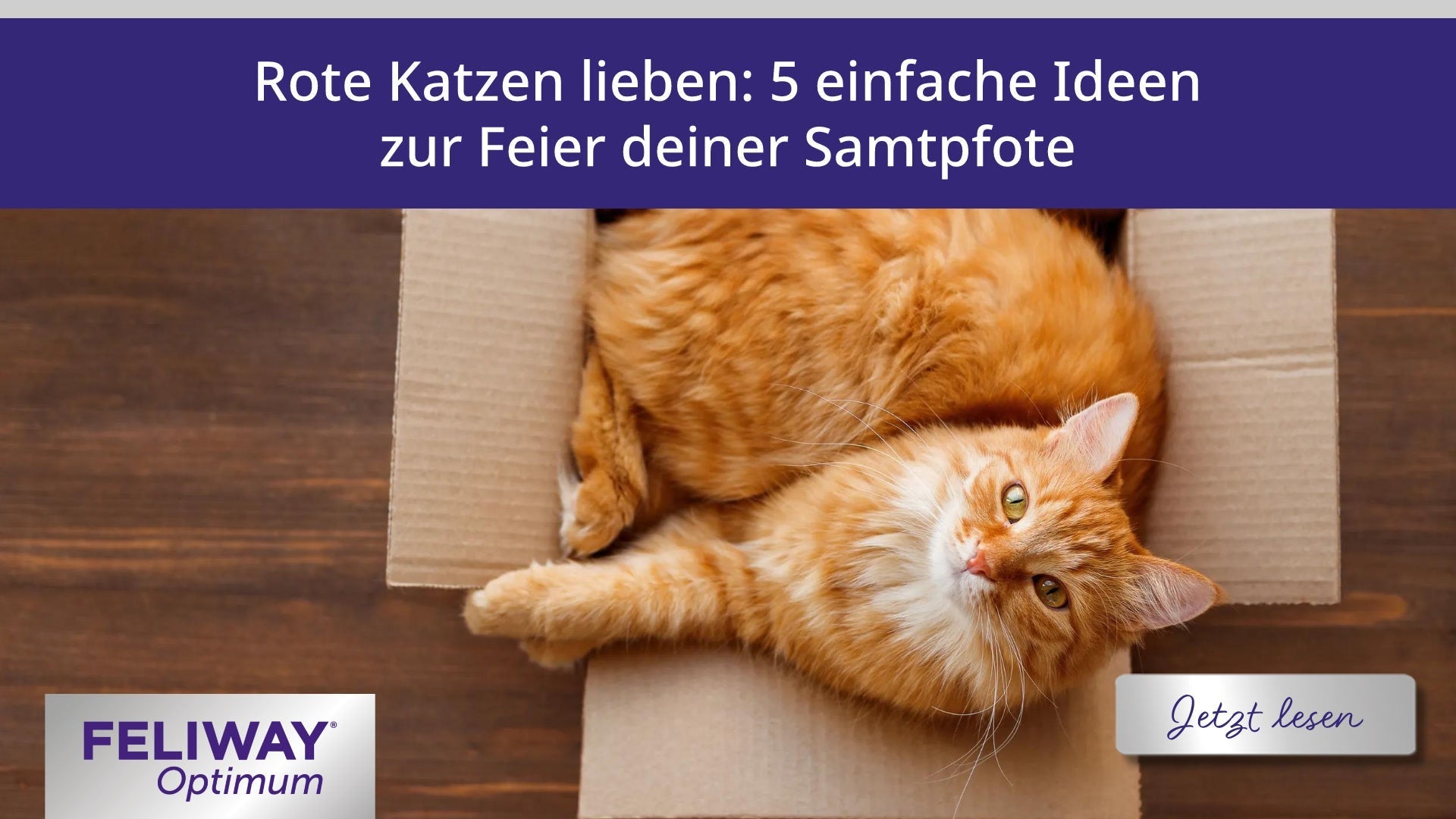 Rote Katzen lieben: 5 einfache Ideen zur Feier deiner Samtpfote