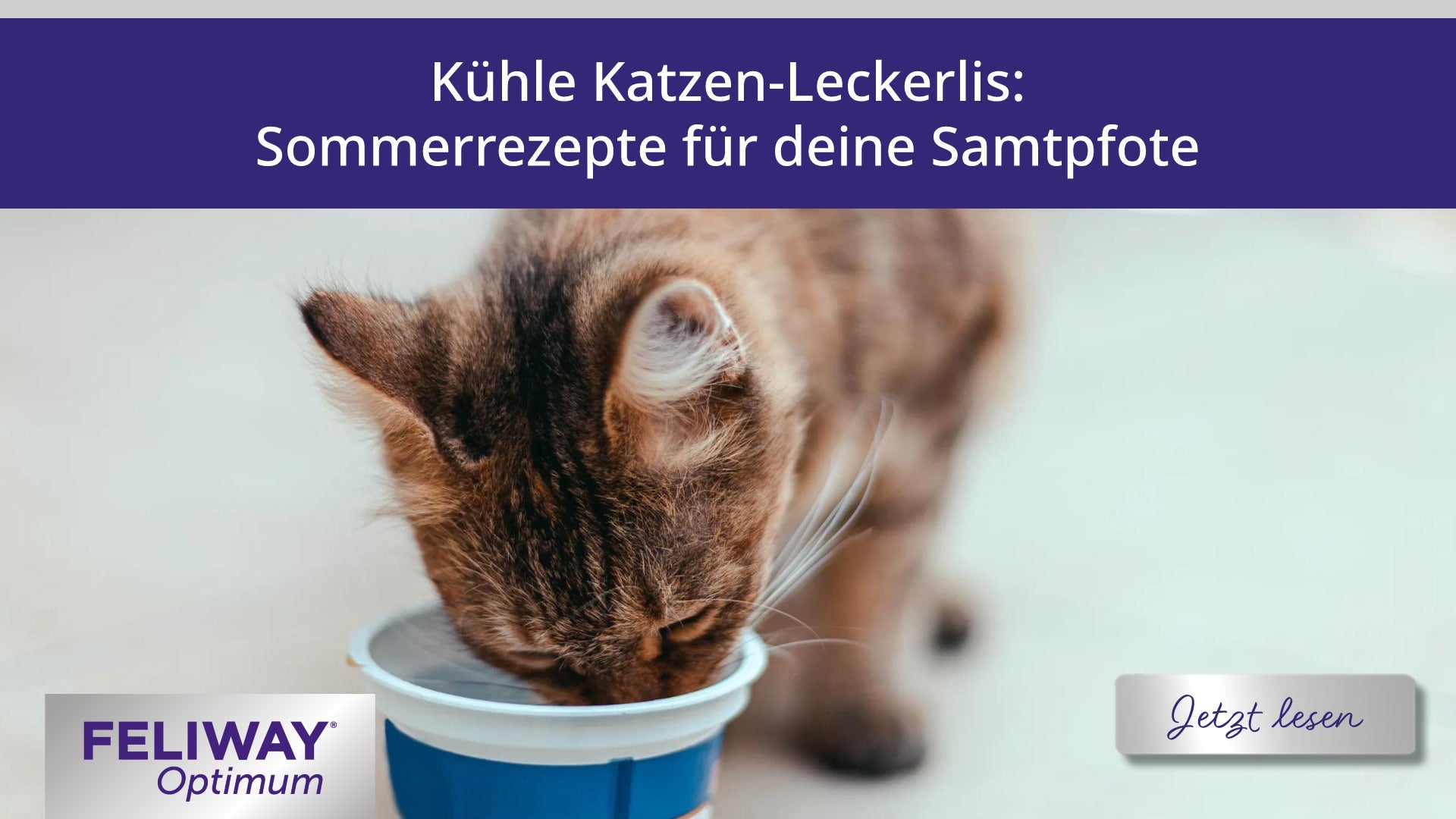 Kühle Katzen-Leckerlis: Sommerrezepte für deine Samtpfote
