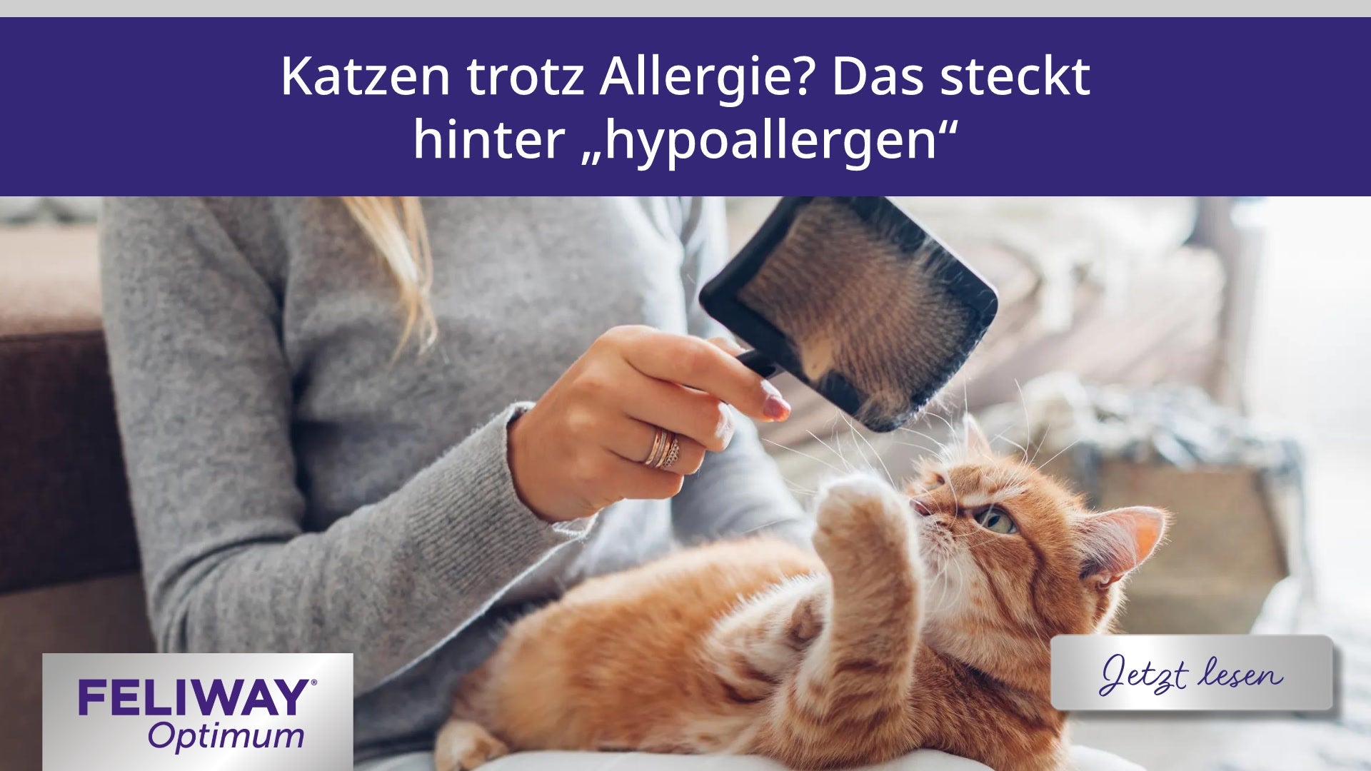 Katzen trotz Allergie? Das steckt hinter „hypoallergen“
