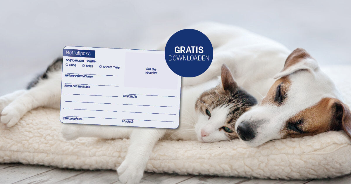 Im Notfall an deine Katze denken | Gratis Notfallpass