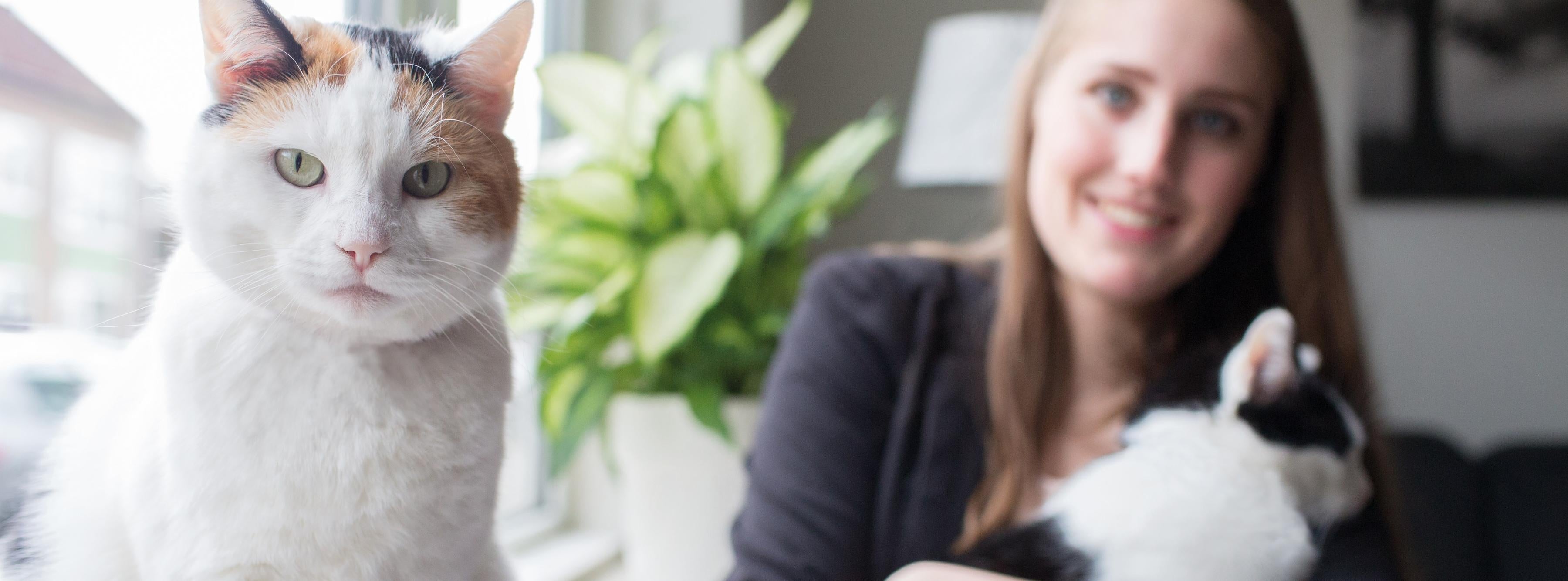 Unsere Kunden fragen: Welches FELIWAY Produkt brauche ich?
