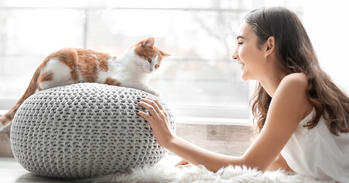 Mag meine Katze mich? 11 Anzeichen für ihre Zuneigung und Liebe!