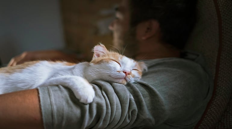 Katze allein lassen? 8 Tipps für einen Urlaub ohne schlechtes Gewissen