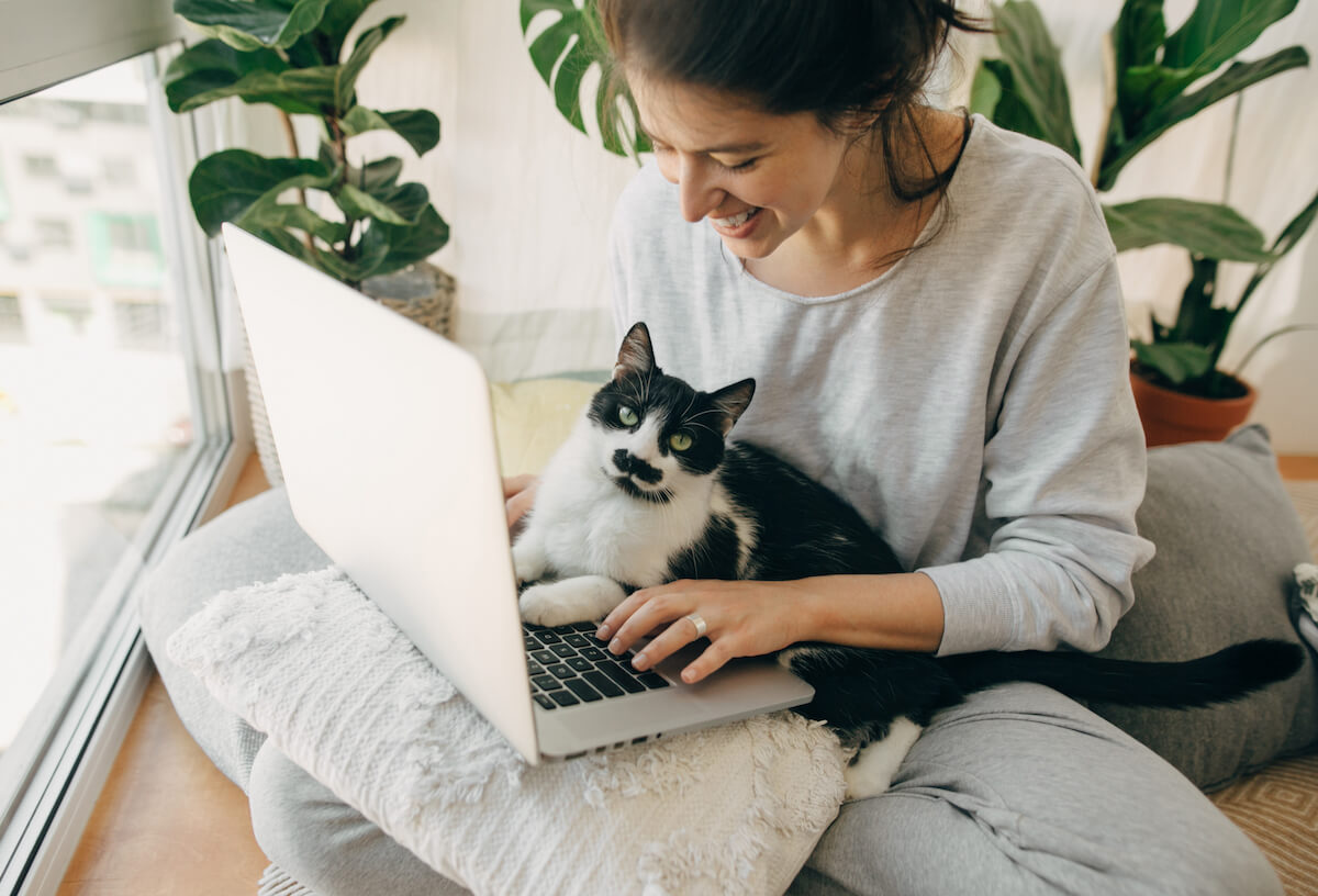 Katze im Homeoffice - Tipps vom flauschigen Kollegen
