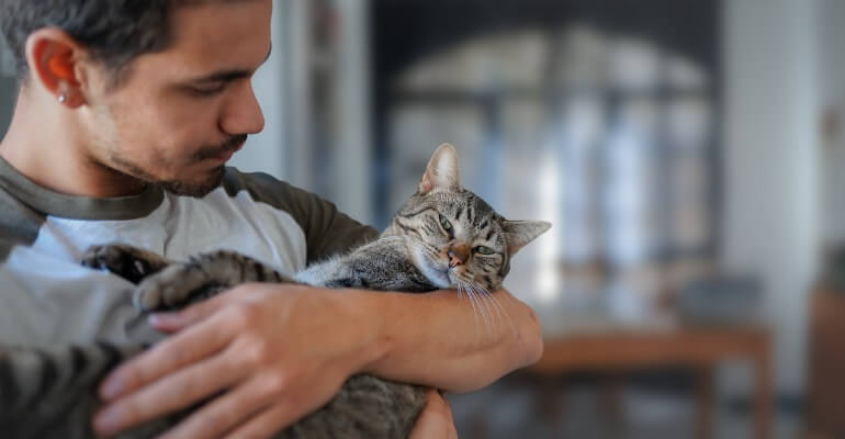 13 Zeichen, dass deine Katze glücklich ist