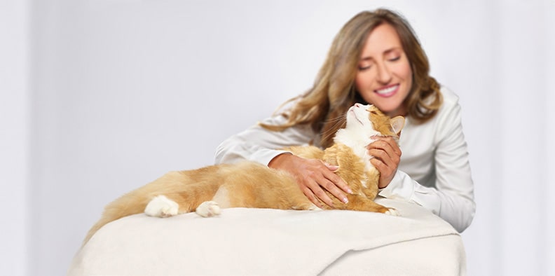 Feliway Classic Katze und Frau
