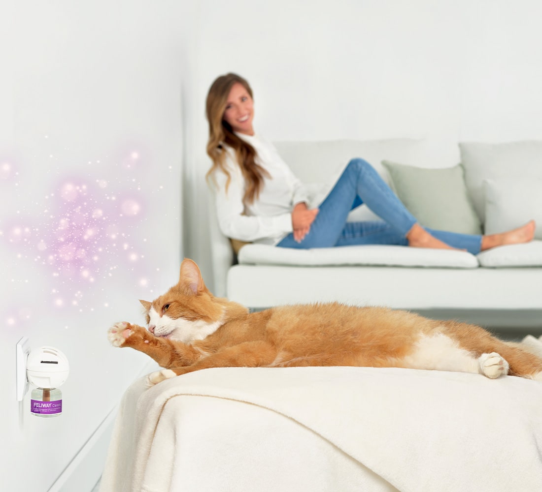 Feliway Classic Katze und Frau vor Verdampfer