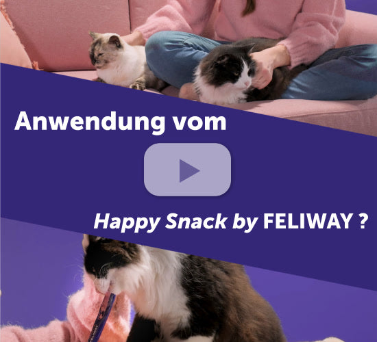 Feliway Happy Snack Video Vorschau