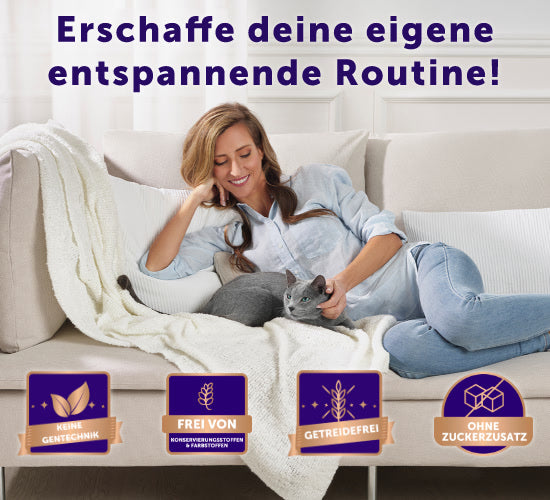 Happy Snack entspannt Katze mit Frau auf Sofa