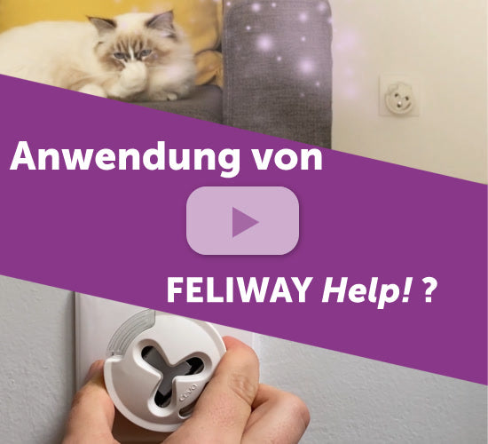 Feliway Help Video Vorschau