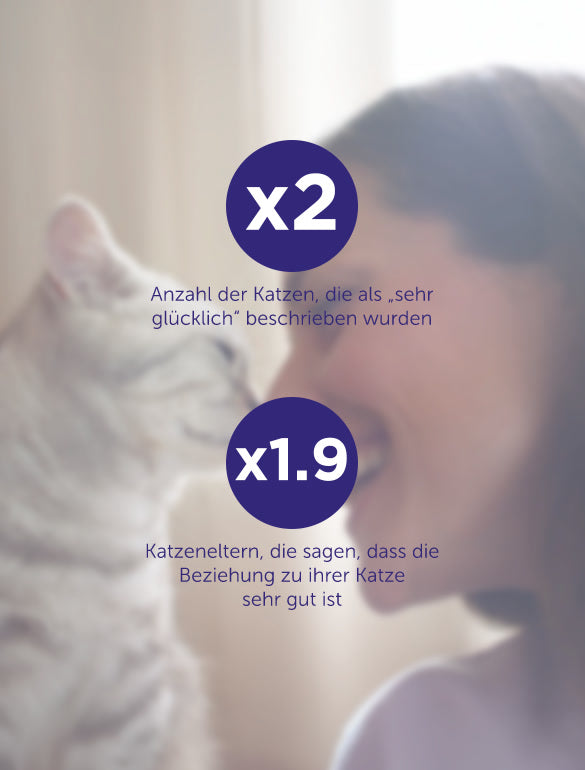 Feliway Optimum Statistik