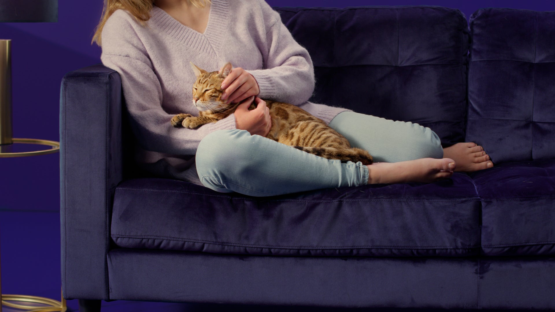Katze schmust mit Frau auf dem Sofa