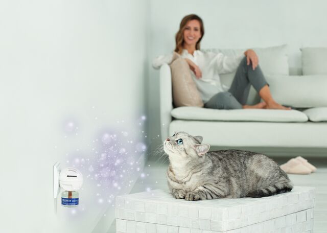 Katze und Frau mit FELIWAY Optimum Verdampfer im Wohnzimmer