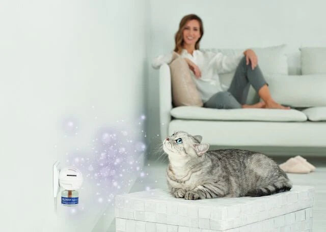 FELIWAY für Katzen