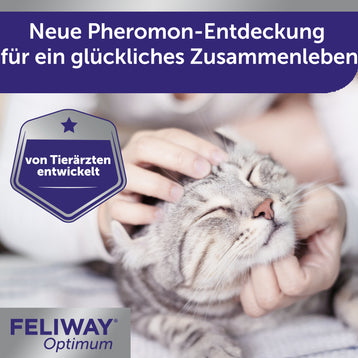 FELIWAY Optimum für noch glücklichere Katzen