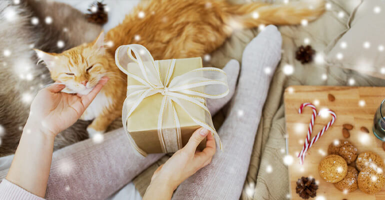 Sinnvolle Weihnachtsgeschenke für Katzen | 5 schöne Geschenkideen
