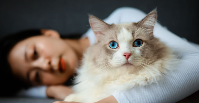 Katze und Mensch Beziehung | 10 wunderschöne Geschichten