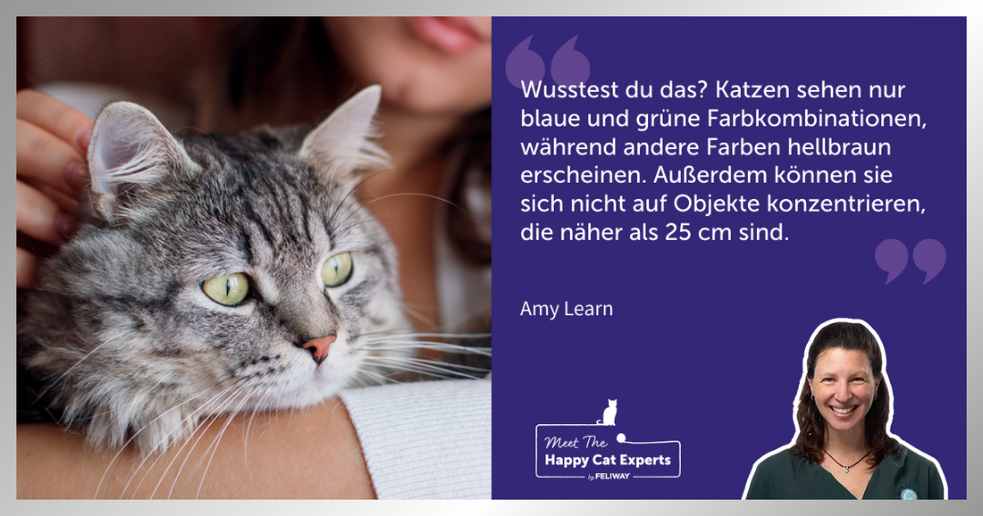 Katzenexpertin Amy Learn: Die Sinne unserer Katzen - Teil 1: Die Augen