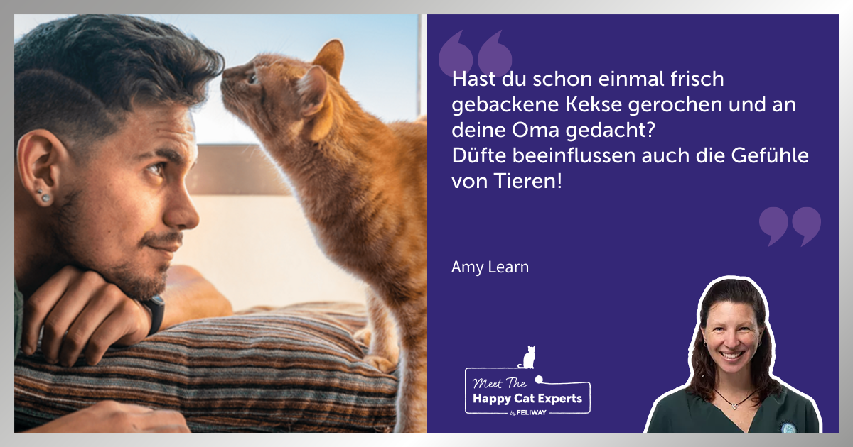 Katzenexpertin Amy Learn: Die Sinne unserer Katzen - Teil 2: Der Geruchssinn