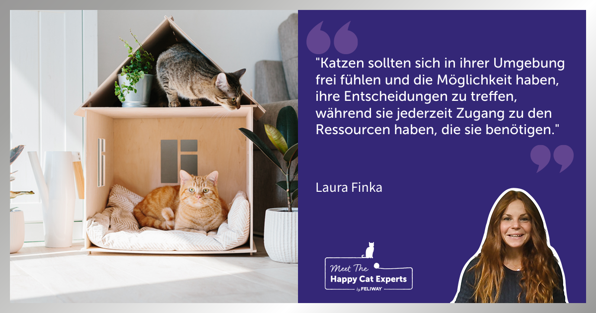 Wie du die perfekte Wohnumgebung für deine Katze schaffst