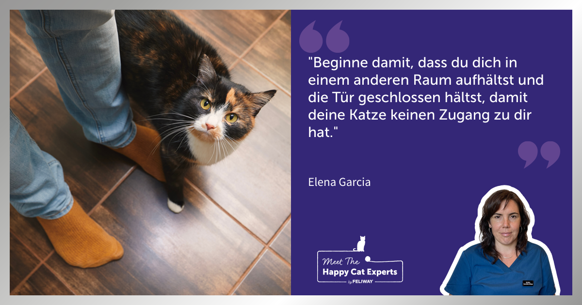 Katzenexpertin Elena Garcia: Sollte meine Katze lernen, allein zu Hause zu bleiben?