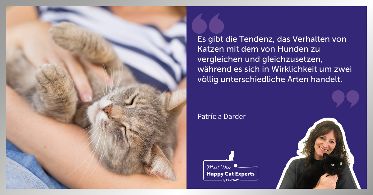 Katzenexperte: So verbesserst du deine Beziehung zu deiner Katze